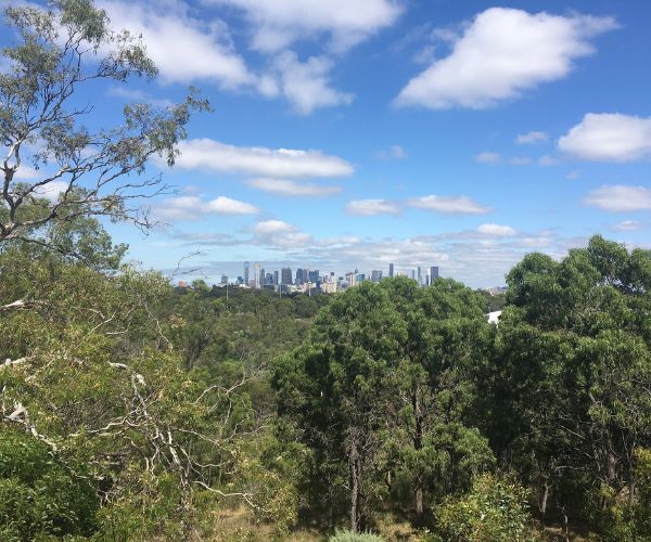 View of Melbourne CBD from Wurundjeri Spur Lookout