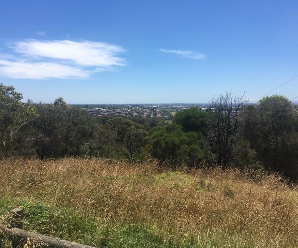 Mount Cooper Lookout Victoria