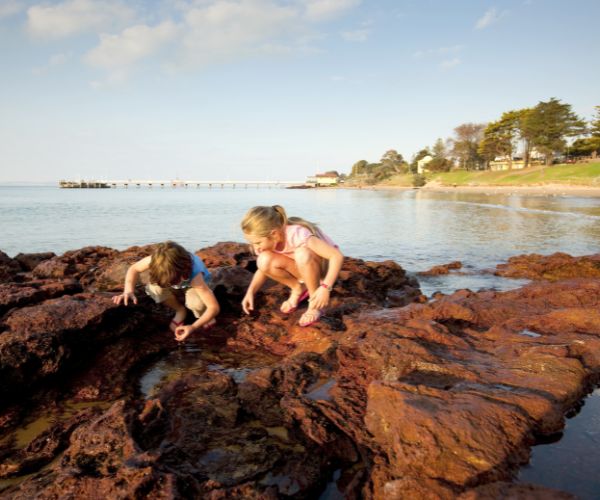 Children playing in rockpools at Red Rock Beach, Phillip Island