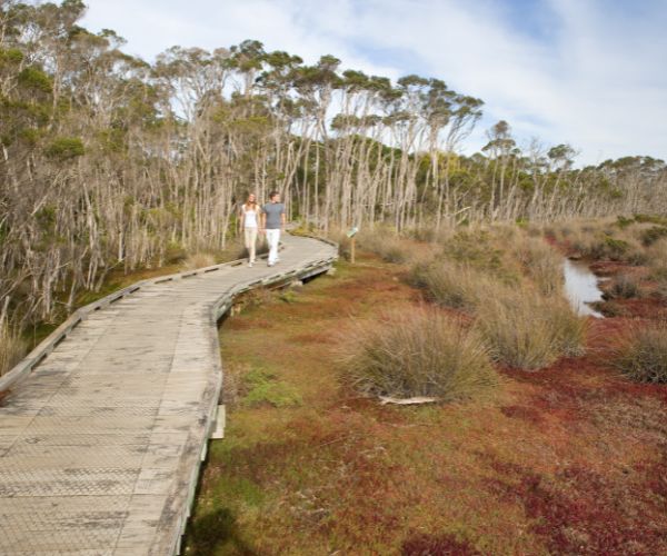 People walking on boardwalk at Rhyll Inlet, Phillip Island