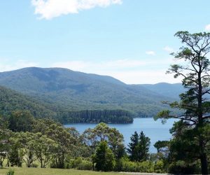 Selover's Lookout, Healesville