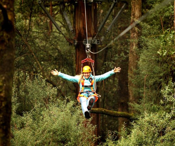Unusual day trip from Melbourne - person zip lining through trees at Otway Fly