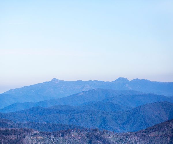 Dany's Lookout Hotham Heights