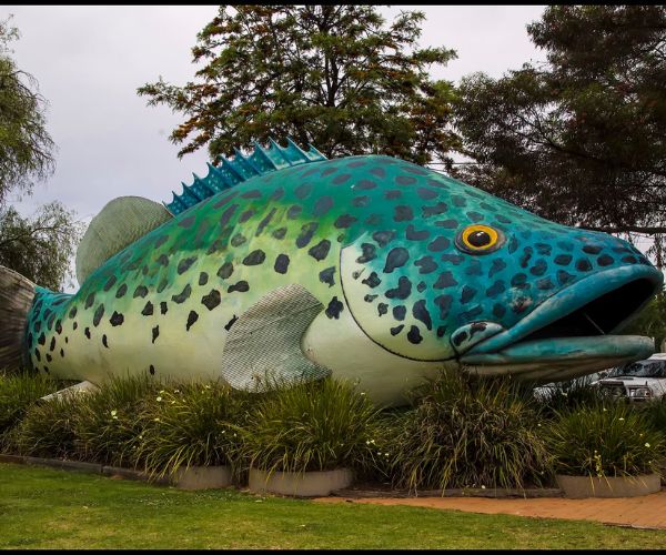 The Giant Murray Cod, Swan Hill